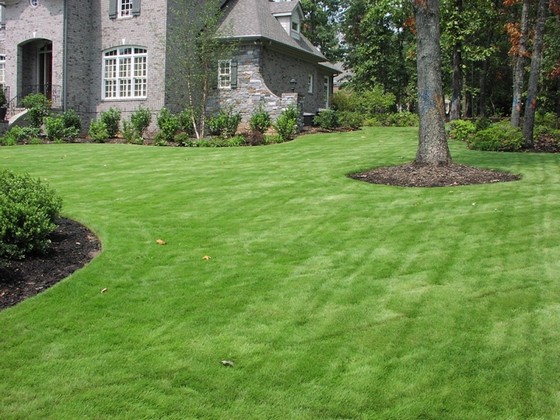 Busco por Distribuidora de Grama Esmeralda para Decoração Ribeirão Preto - Distribuidora de Grama Esmeralda para Paisagismo