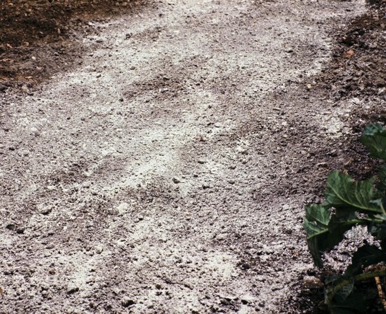 Calcário Agricultura Boa Vista - Calcário e Argila