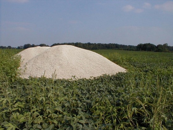 Calcário para Agricultura Preço Teresina - Calcário para Grama