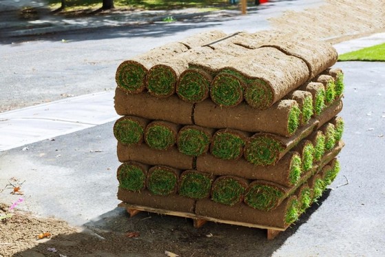 Comprar Rolo de Grama São Paulo - Rolo de Grama para Campo