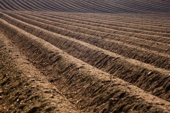 Cotar Terra Adubada para Grama Salvador - Terra Adubada para Horta