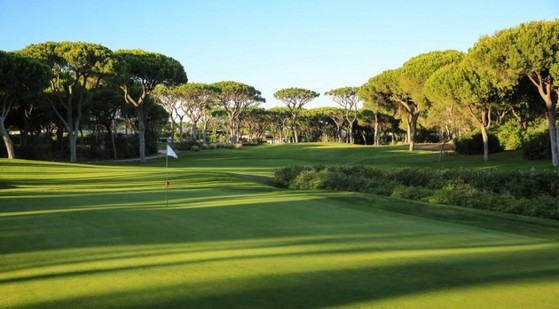 Empresa de Instalação de Grama em Campo de Golf Mendonça - Instalação de Grama em Sítio