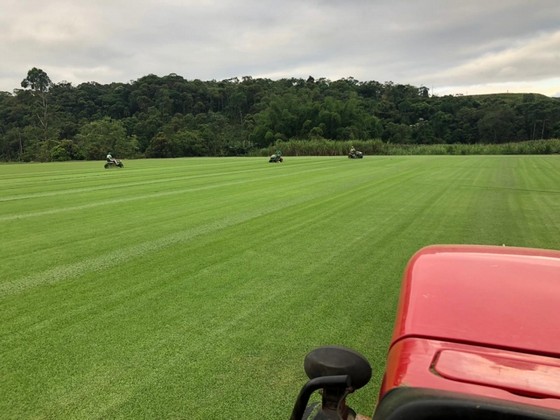 Empresa de Instalação de Grama em Campo Goiânia - Instalação de Grama para Campo de Futebol