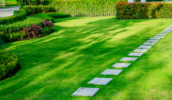 Empresa de Instalação de Grama em Jardim Campo Grande - Instalação de Grama em Jardim