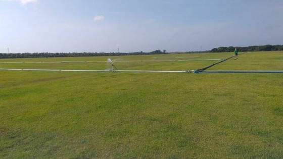 Empresa de Instalação de Grama Natural para Campo Cuiabá - Instalação de Grama para Campo de Futebol