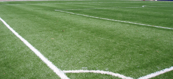 Grama de Campo Futebol á Venda São Paulo - Grama para Campo de Futebol Society