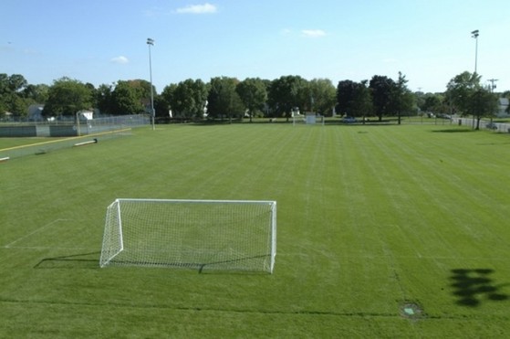 Grama de Campo Futebol Atibaia - Grama para Campo de Futebol Society