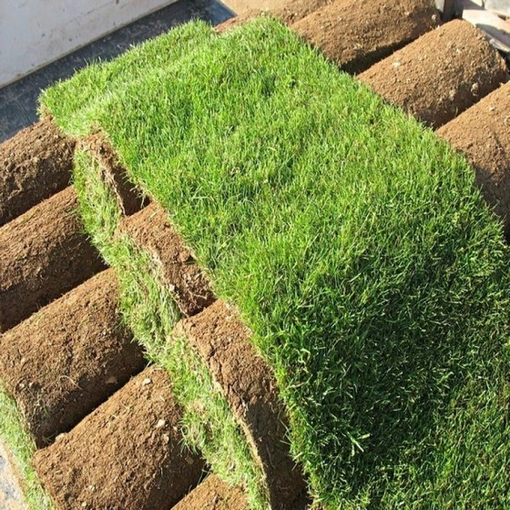 Grama Natural em Rolo Preço Araraquara - Grama Natural para Campo de Futebol