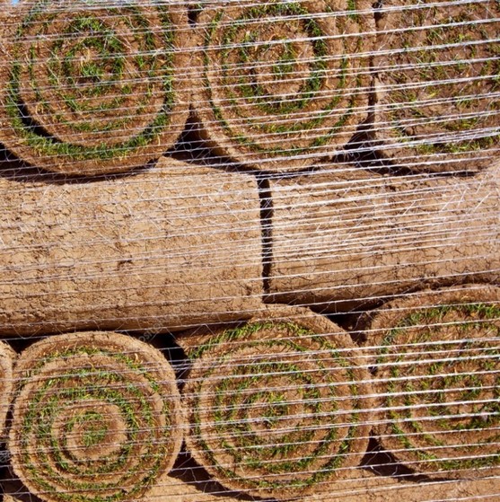 Grama Natural em Rolo Cuiabá - Grama Natural para Varanda