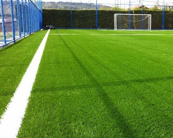 Grama Natural para Campo de Futebol João Pessoa - Grama Natural para Quadra de Tênis