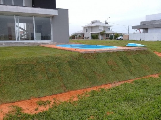 Grama Natural para Jardim Preço Recife - Grama Natural em Rolo
