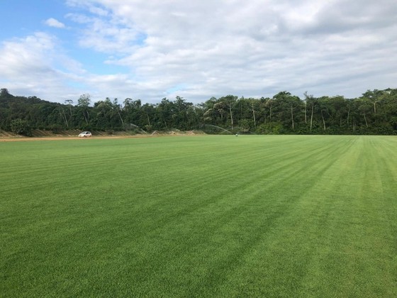 Grama Natural para Quadra de Tênis Franca - Grama Natural para Campo de Futebol