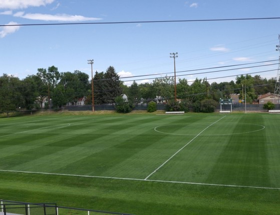 Grama para Campo de Futebol á Venda Jaboticabal - Grama de Campo Futebol