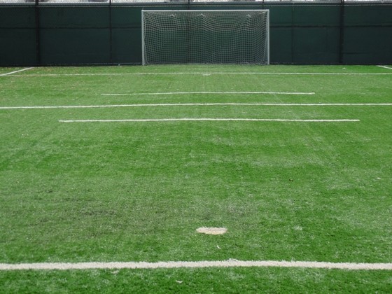 Grama para Campo de Futebol Society Teresina - Grama de Campo Grande