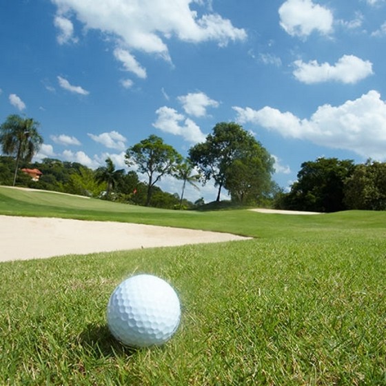 Grama para Campo de Golfe á Venda Itu - Grama de Campo Grande