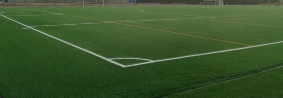 Grama para Campo Futebol á Venda Salvador - Grama Campo Verde