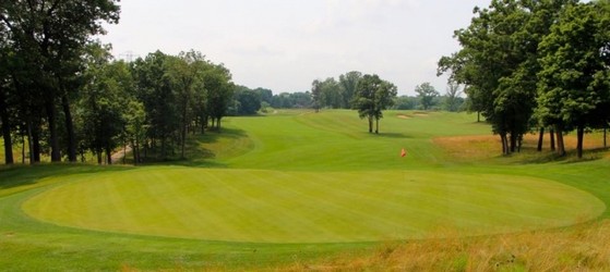 Instalação de Grama em Campo de Golf Valores Natal - Instalação de Grama Natural para Campo