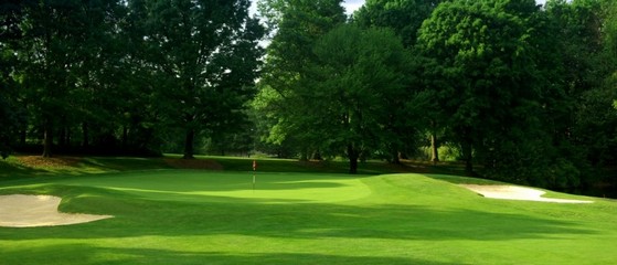 Instalação de Grama em Campo de Golf São José do Rio Preto - Instalação de Grama Esmeralda