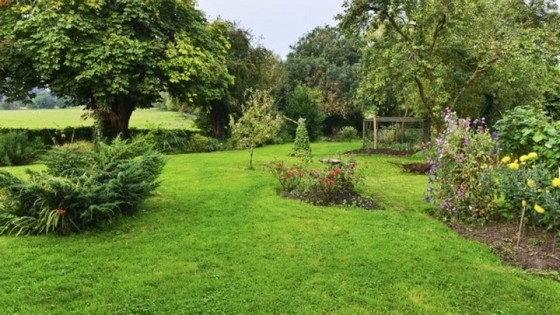 Instalação de Grama em Jardim Votuporanga - Instalação de Grama Natural para Campo