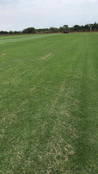 Instalação de Grama Natural para Campo Valores Vitória - Instalação de Grama para Campo de Futebol