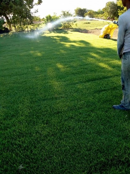 Onde Encontro Fornecedor de Grama em Sítio Bauru - Fornecedor de Grama Natural de Qualidade