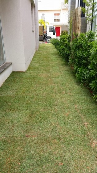 Onde Vende Tapete de Grama Natural para Decoração Macapá - Tapete de Grama Esmeralda