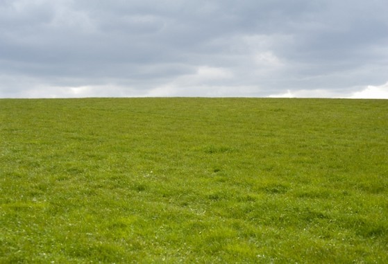 Orçamento de Grama de Campo Grande Campo Grande - Grama de Campo Grande