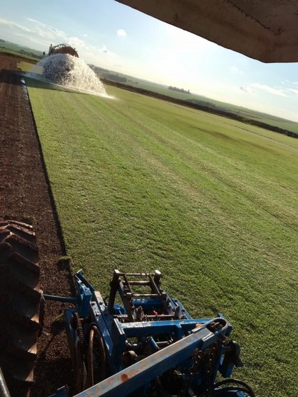 Plantio de Grama Orçar Aracaju - Plantio de Grama para Campo