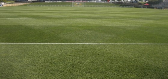 Procuro Comprar Grama Bermuda para Campo de Futebol São José dos Campos - Grama Bermuda para Sombra