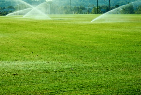 Quanto Custa Grama de Campo Grande São José dos Campos - Grama para Campo de Futebol