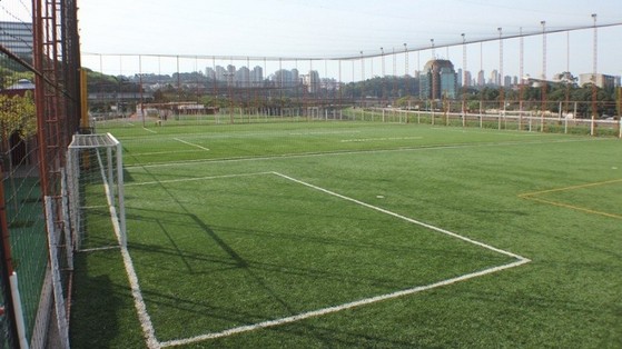 Quanto Custa Grama para Campo de Futebol Society São Luís - Grama para Mini Campo