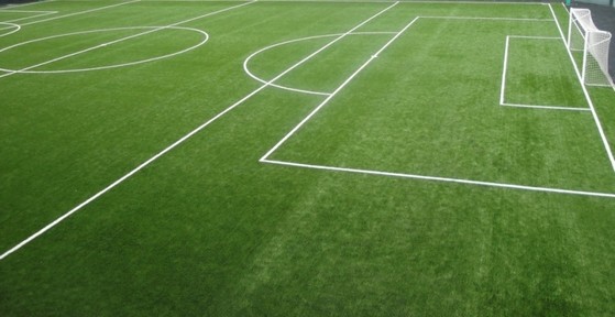 Quanto Custa Grama para Campo Futebol Aracaju - Grama Campo Verde