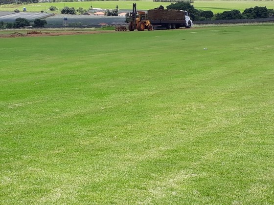 Quanto Custa Plantio de Grama para Campo Marília - Plantio de Grama Bermuda