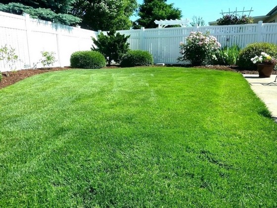 Serviço de Instalação de Grama em Jardim Taubaté - Instalação de Grama Natural para Campo