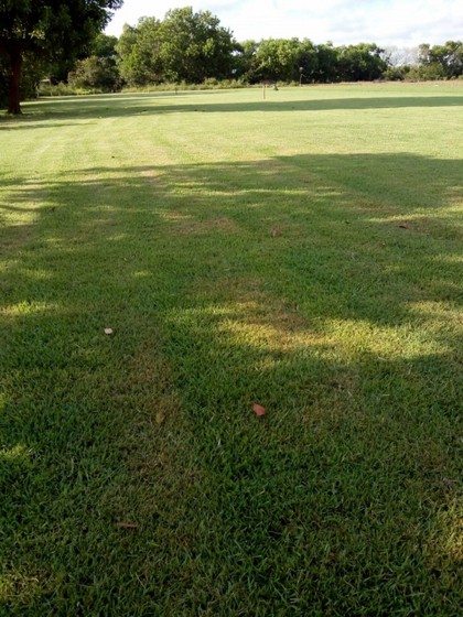 Serviço de Instalação de Grama Natural para Campo Rio Branco - Instalação de Grama em Jardim