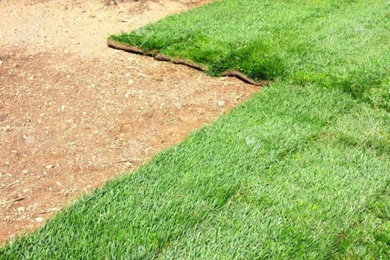 Tapete de Grama Natural para Campo Valor João Pessoa - Tapete de Grama Barato