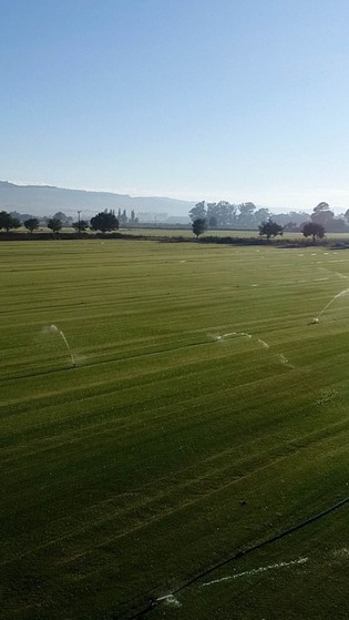 Tapetes de Grama para Campo Mendonça - Tapete de Grama para Campo