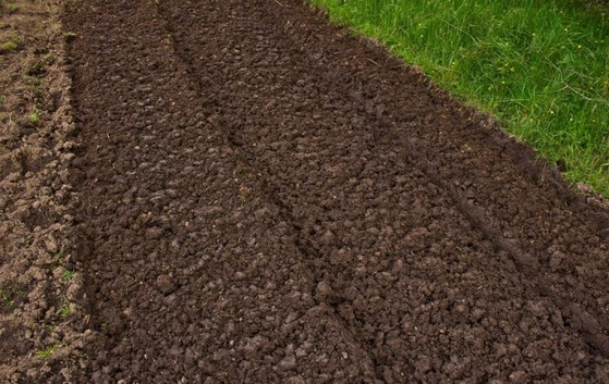 Terra Adubada e Terra Vegetal Melhor Preço Belo Horizonte - Terra Adubada para Horta