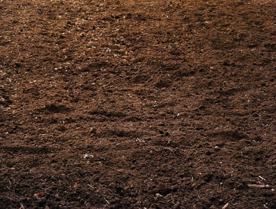 Terra Adubada para Grama Esmeralda Valor Macapá - Terra Adubada e Terra Vegetal