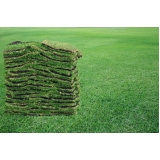 comprar grama natural bermuda Fortaleza