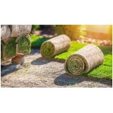 comprar rolo de grama para jardim natural Vinhedo