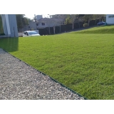 grama natural para jardim grande Aracaju