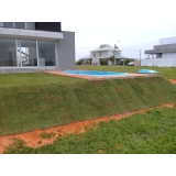 grama natural para jardim preço Recife