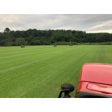 grama para campo á venda Brasília