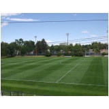 grama para campo de futebol á venda Bauru