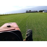 onde encontro fornecedor de grama em campo Franca