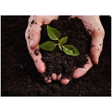 orçar terra adubada e terra vegetal Goiânia