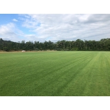 procuro por fornecedor de grama em campo de golf Curitiba