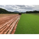 quanto custa plantio de grama em campo Araraquara