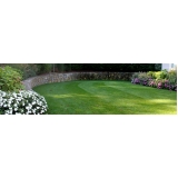 quero comprar grama bermuda jardim Americana